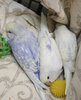 DSCF0318.jpg