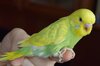 DSC_1512.JPG