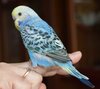 DSC_1510.JPG