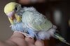 DSC_1529.JPG