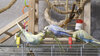 DSCF0594.jpg