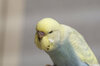 DSCF0670.jpg