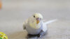 DSCF0733.jpg