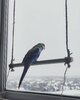 IMG_20210217_134559_935.jpg