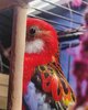IMG_20201231_144104_220.jpg