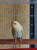 IMG-9e582fc29933bf74e35cb5b1cea6ede1-V.jpg