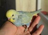 DSC_1575.JPG