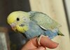 DSC_1579.JPG