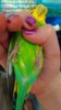 IMG_20160309_200350.jpg