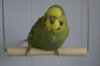 DSC03400.JPG