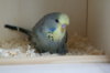 DSC03427.JPG