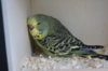DSC03459.JPG