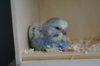DSC03558.JPG