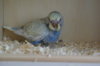 DSC03566.JPG