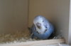 DSC03597.JPG