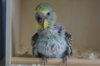 DSC03615.JPG