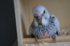 DSC03645.JPG