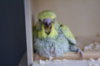 DSC03650.JPG