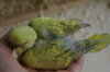 DSC03655.JPG