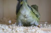 DSC03464.JPG