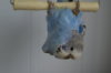 DSC03581.JPG