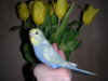 DSCN9377.JPG