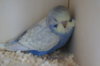 DSC03672.JPG