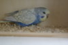 DSC03679.JPG