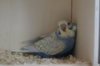 DSC03687.JPG