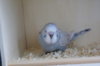DSC03727.JPG