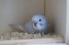 DSC03731.JPG