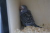 DSC03746.JPG