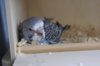 DSC03749.JPG