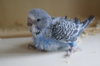 DSC03751.JPG
