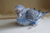 DSC03752.JPG
