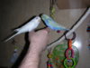 DSCN9444.JPG