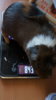 DSC09566.JPG