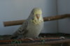 DSC03862.JPG