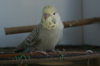 DSC03863.JPG