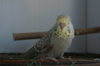 DSC03867.JPG