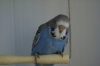 DSC03925.JPG
