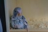 DSC03959.JPG