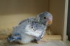 DSC03976.JPG