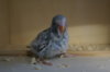 DSC03986.JPG