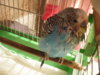 IMGP8816.JPG