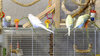 DSCF0985.jpg