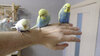 DSCF0849.jpg