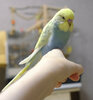 DSCF0865.jpg
