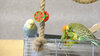 DSCF1201.jpg