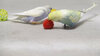 DSCF1549.jpg